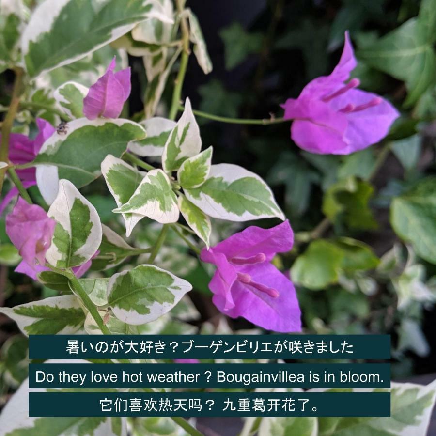Kyoya Ryokan Nagoya Exteriör bild